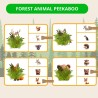 Forest Animals Pack
