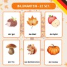 Herbstpaket