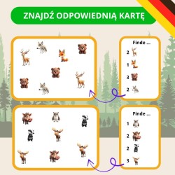 Zestaw Waldtiere