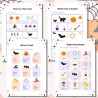 Halloween - karty pracy Halloween - karty pracy
