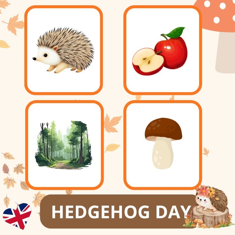 Zestaw Hedgehog Day