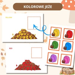 Zestaw Dzień Jeża