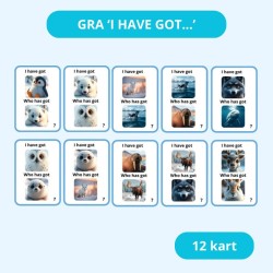 Zestaw Arctic Animals - Pomoc Dydaktyczna do Nauki Języka Angielskiego dla Dzieci