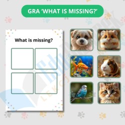 Zestaw edukacyjny Pets Zwierzęta domowe – materiały dla nauczycieli angielskiego dla dzieci (flashcards, gry)