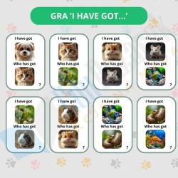 Zestaw edukacyjny Pets Zwierzęta domowe – materiały dla nauczycieli angielskiego dla dzieci (flashcards, gry)