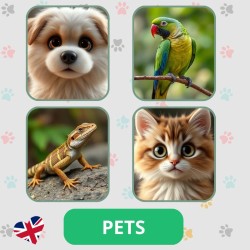 Zestaw edukacyjny Pets Zwierzęta domowe – materiały dla nauczycieli angielskiego dla dzieci (flashcards, gry)