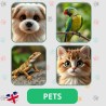 Zestaw edukacyjny Pets Zwierzęta domowe – materiały dla nauczycieli angielskiego dla dzieci (flashcards, gry)