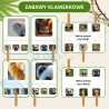 Zestaw Jungle animals