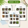 Zestaw Jungle animals