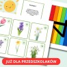 Bocian i jego przyjaciele